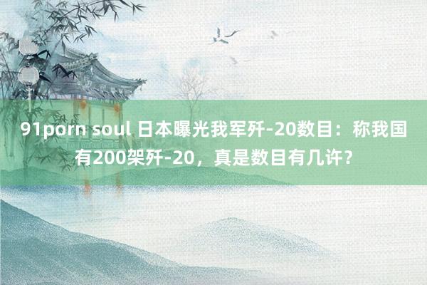 91porn soul 日本曝光我军歼-20数目：称我国有200架歼-20，真是数目有几许？