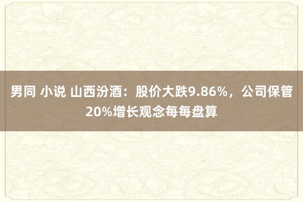 男同 小说 山西汾酒：股价大跌9.86%，公司保管20%增长观念每每盘算