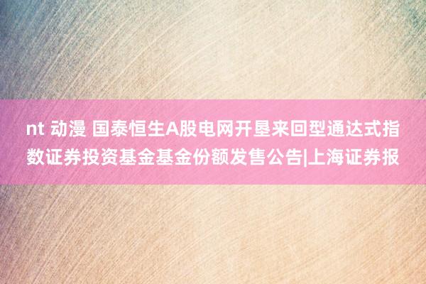 nt 动漫 国泰恒生A股电网开垦来回型通达式指数证券投资基金基金份额发售公告|上海证券报